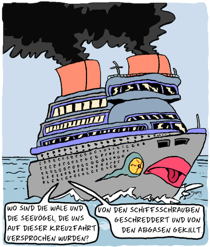 Traumschiff Traumschiff