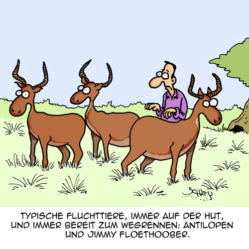 Typisch Typisch