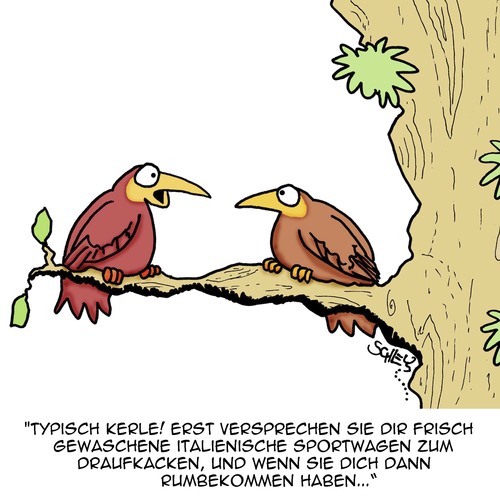 Cartoon: TYPISCH!!! (medium) by Karsten Schley tagged dating,liebe,männer,frauen,versprechen,anbaggern,begierde,familie,beziehungen,tiere,vögel,natur,dating,liebe,männer,frauen,versprechen,anbaggern,begierde,familie,beziehungen,tiere,vögel,natur