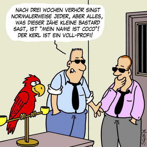 Verhör Verhör
