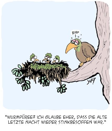 Vögel füttern Vögel füttern