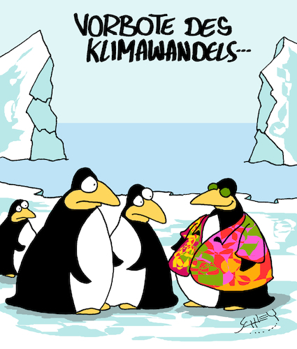 Cartoon: Vorbote (medium) by Karsten Schley tagged wetter,tiere,pinguine,mode,klimawandel,umwelt,umweltzerstörung,antarktis,politik,gesellschaft,menschheit,wetter,tiere,pinguine,mode,klimawandel,umwelt,umweltzerstörung,antarktis,politik,gesellschaft,menschheit