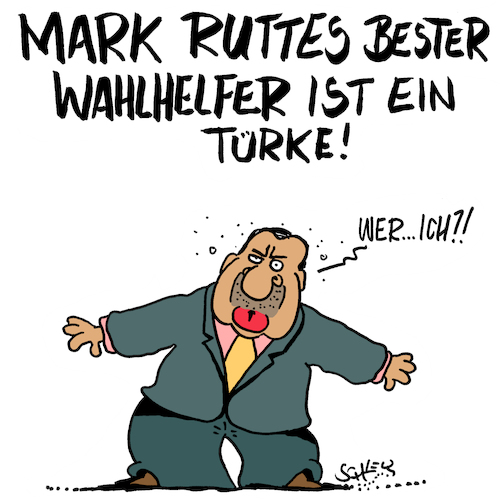 Wahlhelfer