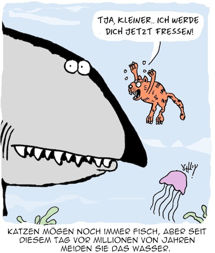 Warum Katzen wasserscheu sind Warum Katzen wasserscheu sind