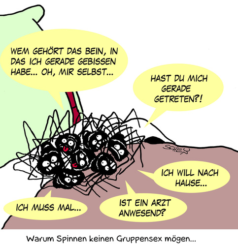 Warum Spinnen keinen Gruppensex Warum Spinnen keinen Gruppensex