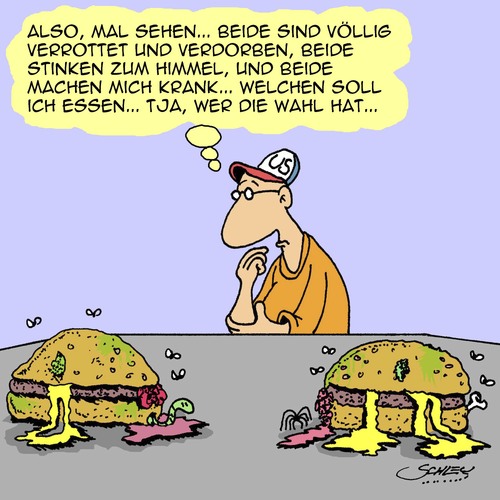 Wer die Wahl hat... Wer die Wahl hat...