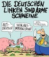 Arme Schweine...