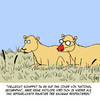 Cartoon: Respekt! (small) by Karsten Schley tagged natur,tiere,umwelt,presse,naturwissenschaft,raubtiere,löwen,antilopen,afrika
