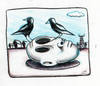 Cartoon: Magpie Season (small) by urbanmonk tagged drawing,reg,mombassa