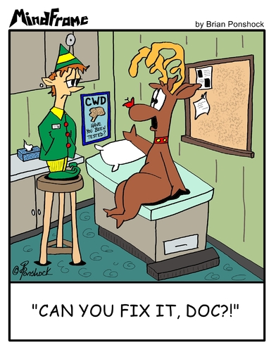 Cartoon: Reindeer Rhinoplasty (medium) by Brian Ponshock tagged rudolph,reindeer,red,nose