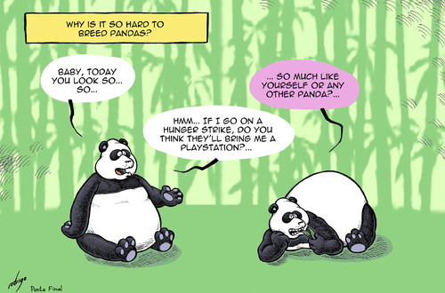 Cartoon: Panda breeding (medium) by rodrigo tagged giant,panda,bear,zoo,breeding,reproduction,playstation