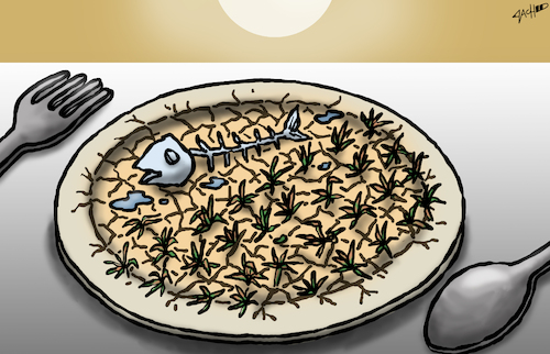 Drought Drought