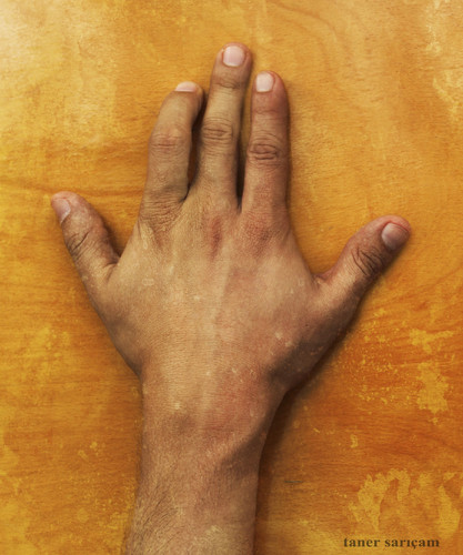 Cartoon: symmetrical hand (medium) by tanerbey tagged hand,symmetrical