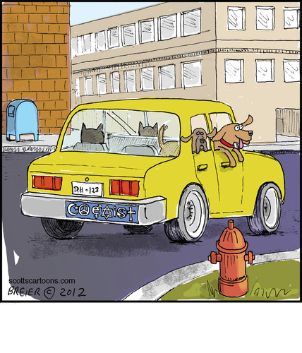 Cartoon: Coexist (medium) by noodles tagged coexist,bumper,sticker,dogs,cats,noodles