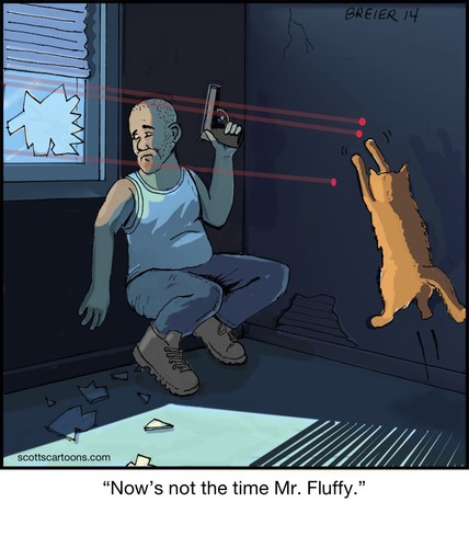 Cartoon: Laser Fluffy (medium) by noodles tagged cats,jumping,laser,standoff,gun