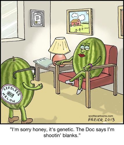Cartoon: Seedless (medium) by noodles tagged watermelon,doctors,office,fertility,seedless,genetic