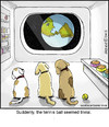Cartoon: Spacedogs (small) by noodles tagged space,dogs,tennis,ball,noodles,earth,from,planet