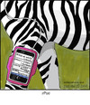 Cartoon: zpod (small) by noodles tagged ipod,music,zebra,black,and,white,noodles