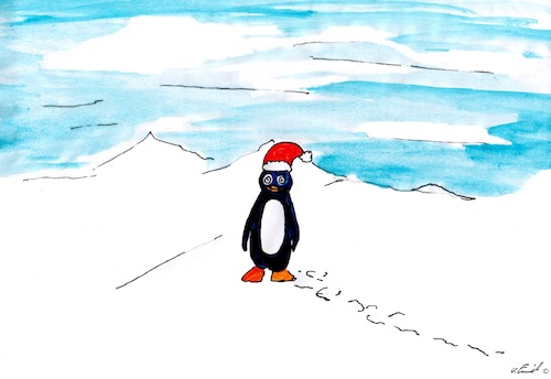 Cartoon: Der Pinguin allein im Advent! (medium) by Stefan von Emmerich tagged weihnachten