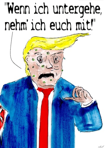 Cartoon: Der Untergang (medium) by Stefan von Emmerich tagged trump,dump,donald,stupid,animal,karikatur,cartoon