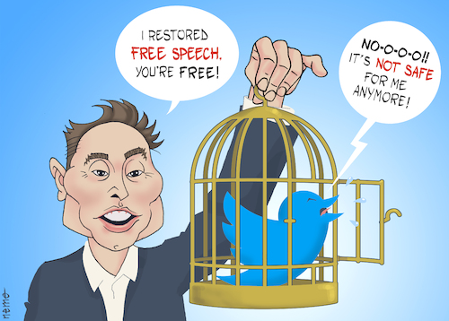 Elon Frees the Bird Elon Frees the Bird