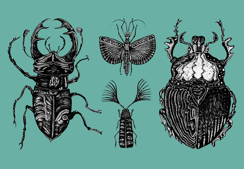 Bugs Bugs