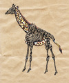Cartoon: giraffe half dead (small) by Battlestar tagged giraffe,tiere,animals,skelett,natur,illustration