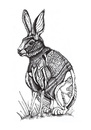Cartoon: rabbit (small) by Battlestar tagged rabbit hase tiere animals