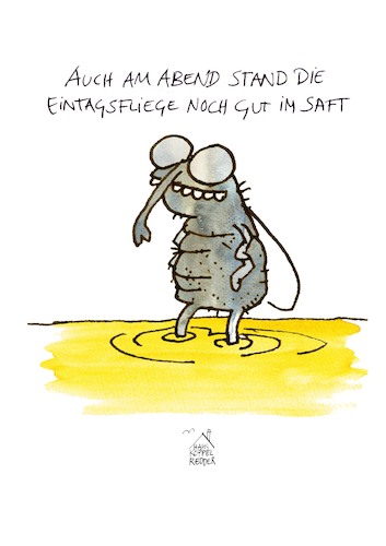 Eintagsfliege Eintagsfliege