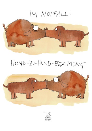 Hund zu Hund Hund zu Hund