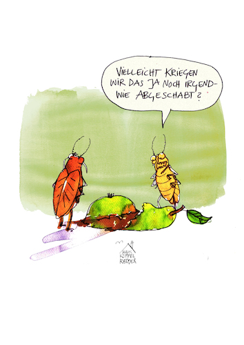 Schaben Schaben