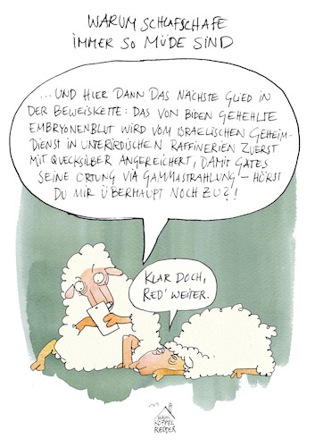 Schlafschafe Schlafschafe