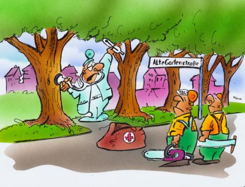 Cartoon: Baumdoktor (medium) by HSB-Cartoon tagged baumschutzsatzung,baum,stadt,gemeinde,doktor