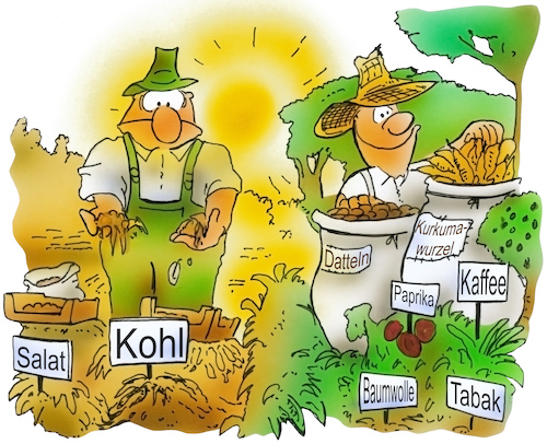 Gemüseanbau Gemüseanbau