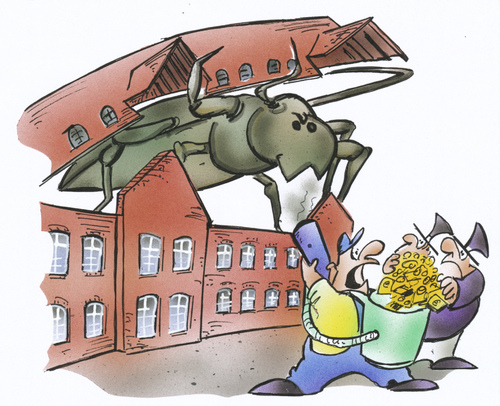 Hausbockbekämpfung Hausbockbekämpfung