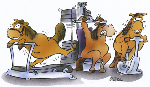 Cartoon: horse gym (medium) by HSB-Cartoon tagged horse,animal,winter,climate,gym,gymnastic,fitness,muscle,treadmill,barbell,hantel,laufband,pferde,pferd,tier,cartoon,karikatur,airbrush,illustration,tiere,tier,pferd,pferde,sport fitness,sport,fitness