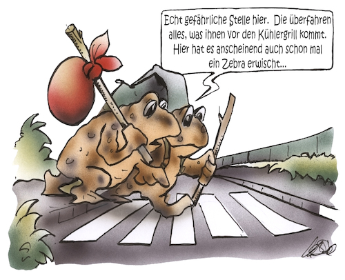 Krötenwanderung Krötenwanderung