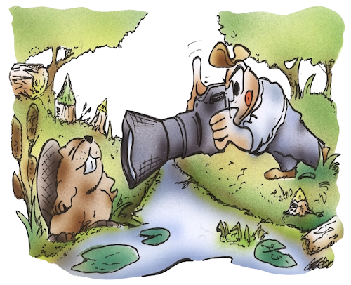 Cartoon: Naturfoto (medium) by HSB-Cartoon tagged natur,biber,uferbereich,ufer,bach,gewässer,intakt,foto,fotographie,fotograph,fotoapparat,kamera,bilder,naturbelassen,uferzone,umwelt,nahe,fluss,karikatur,fluß,fließgewässer,cartoon,hsb,natur,biber,uferbereich,ufer,bach,gewässer,intakt,foto,fotographie,fotograph,fotoapparat,kamera,bilder,naturbelassen,uferzone,umwelt,nahe,fluss,karikatur,fluß,fließgewässer,cartoon,hsb