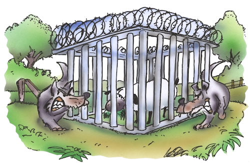 Schutz vor dem Wolf Schutz vor dem Wolf