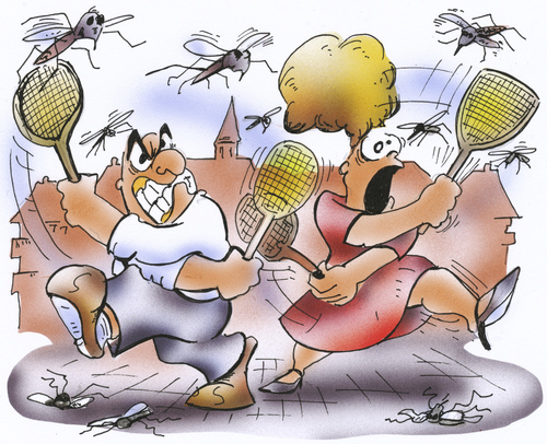 Sommerzeit ist Mückenzeit Sommerzeit ist Mückenzeit