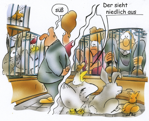 Tierschau Tierschau