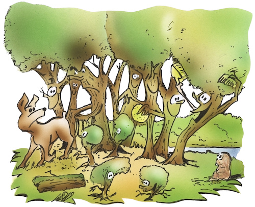 Waldpflege Waldpflege