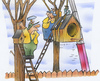 Cartoon: Nistkästen (small) by HSB-Cartoon tagged garten,nistkästen,vogel,tiere,baum,natur,artenschutz