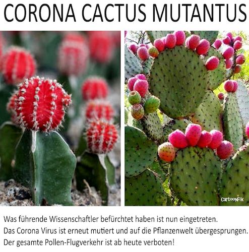 Cartoon: Corona-Cactus Mutantus 21 (medium) by Cartoonfix tagged corona,mutation,flugverbot,maßnahmen,gedöhns