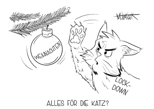 Alles für die Katz?