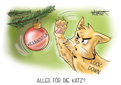 Alles für die Katz? Alles für die Katz?