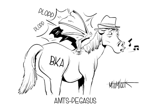 Amts-Pegasus