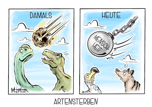 Artensterben Artensterben