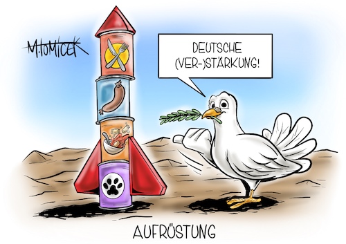 Aufrüstung Aufrüstung