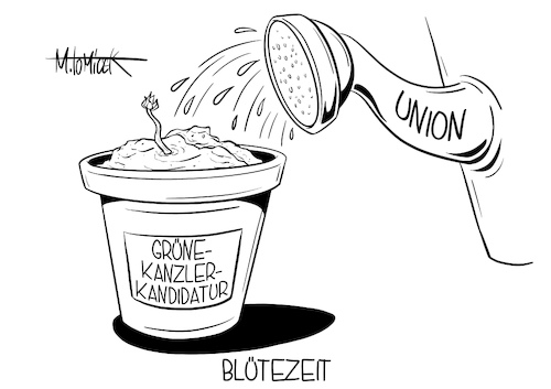 Blütezeit Blütezeit